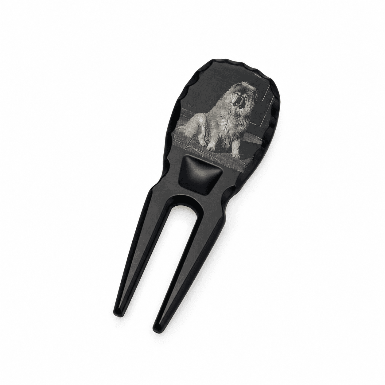 Photo Divot Tool